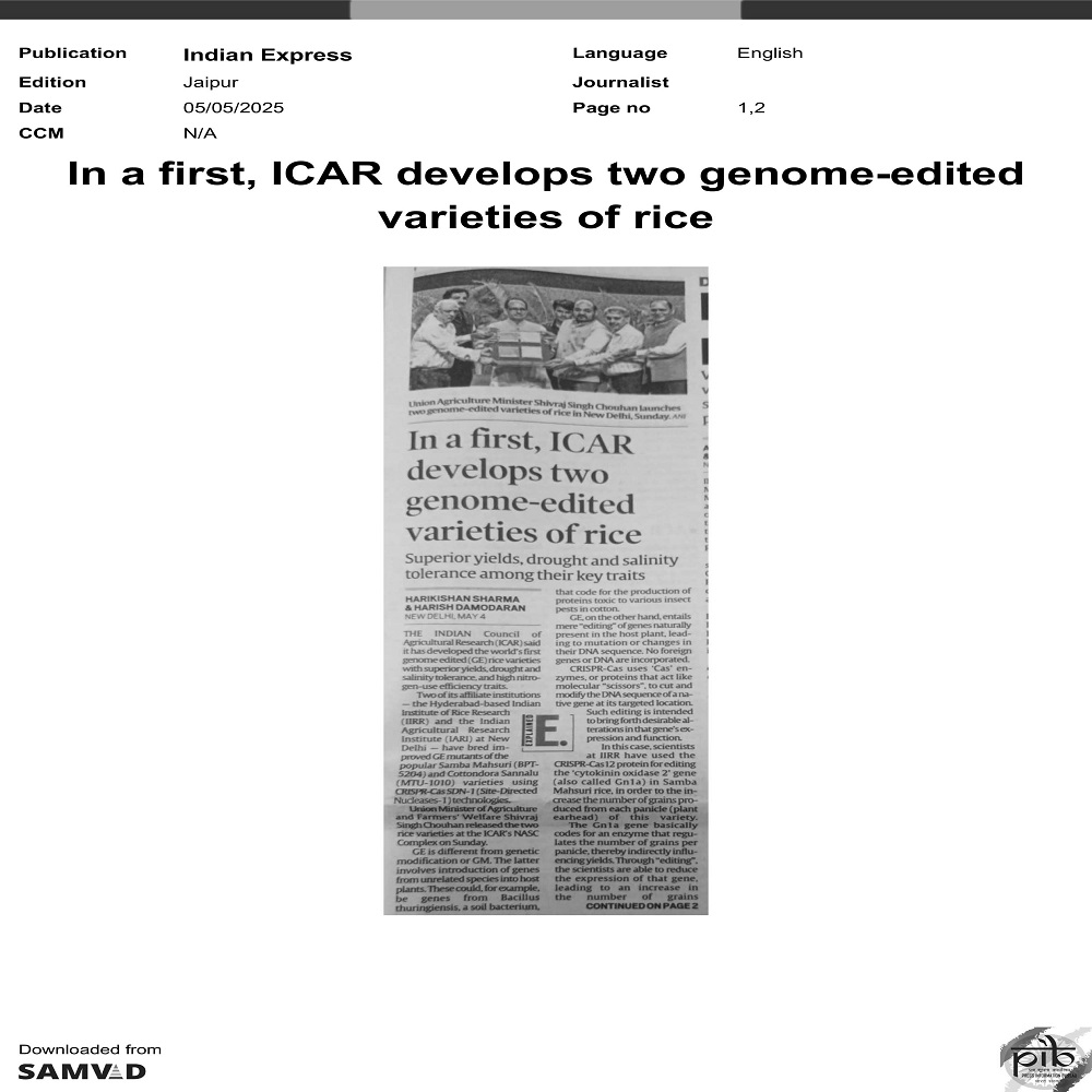 In a first, ICAR develops two genomeedited varieties of rice