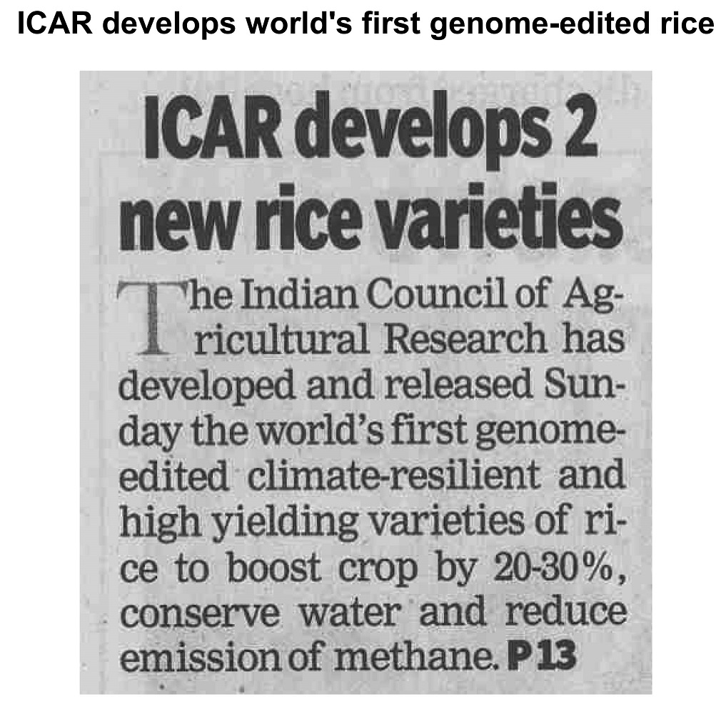 ICAR develops 2 new rice varieties