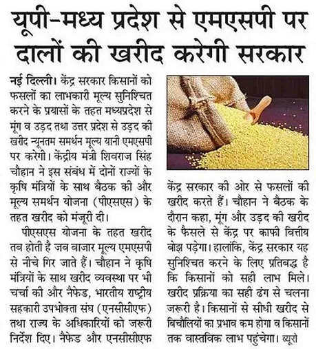 The government will purchase pulses from UP and Madhya Pradesh at MSP