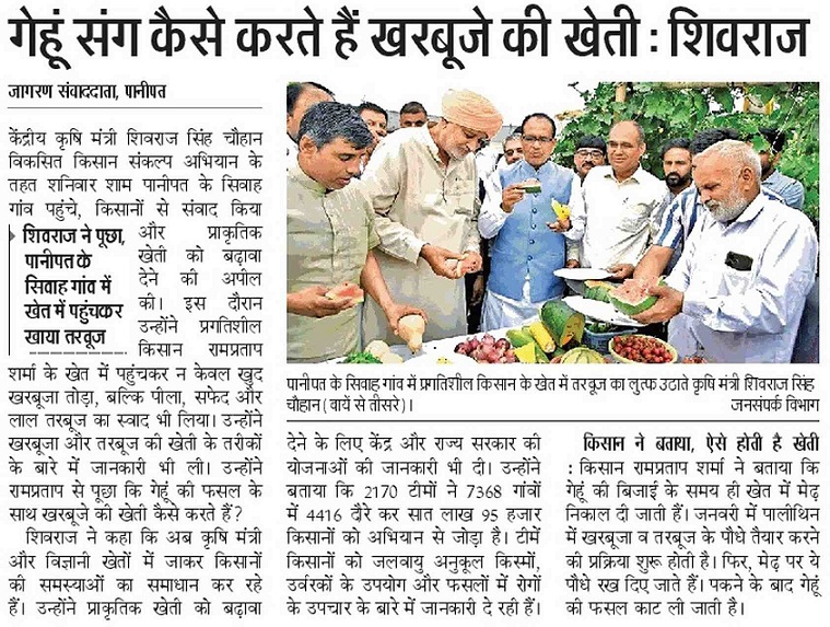 How to cultivate melon along with wheat: Shivraj