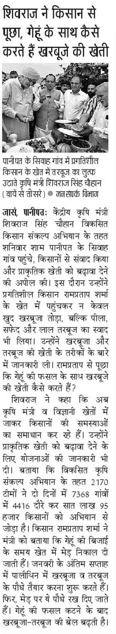 Shivraj asked the farmer, how do you cultivate melons along with wheat