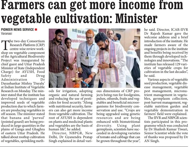 Farmers can get more income from vegetable cultivation: Minister