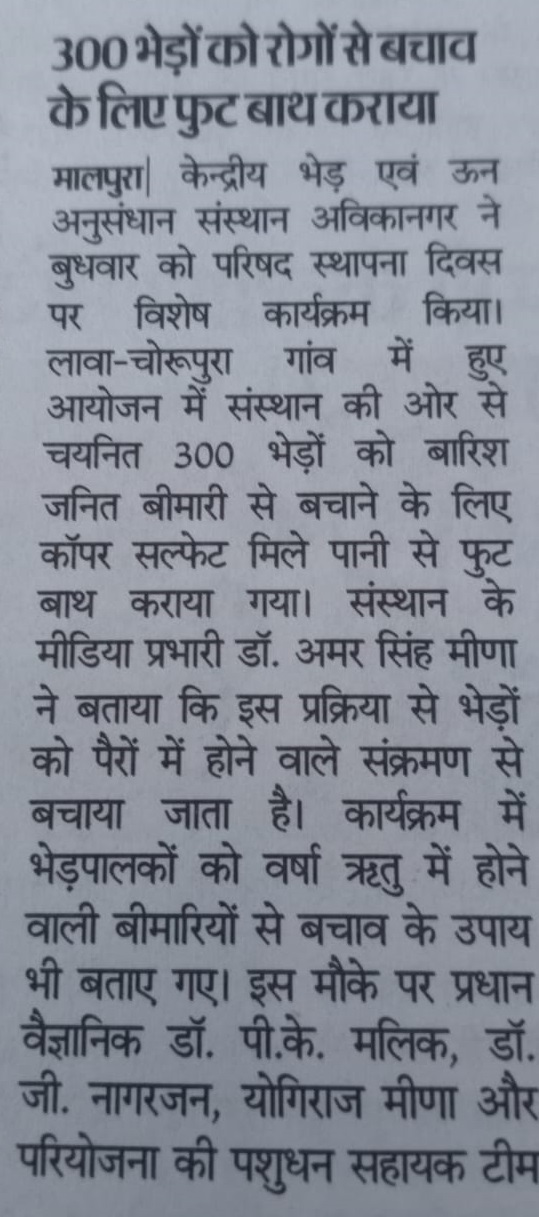 300 भेड़ों को रोगों से बचाव के लिए फुट बाथ कराया 