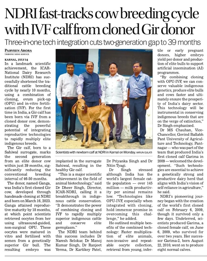 NDRI fast-tracks cow breeding cycle with IVF calffrom cloned Gir donor