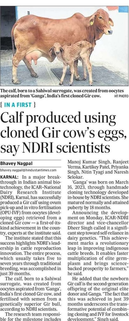 Calf produced using cloned Gir Cow's eggs, say NDRI scientists