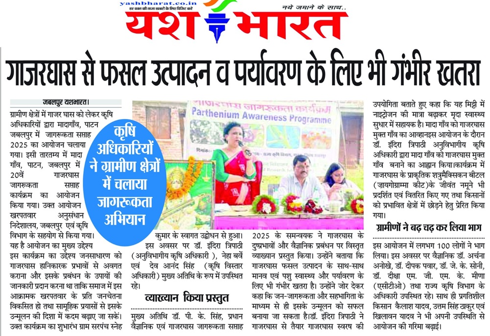 गाजरघास से फसल उत्पादन व पर्यावरणके लिए भी गंभीर खतरा!