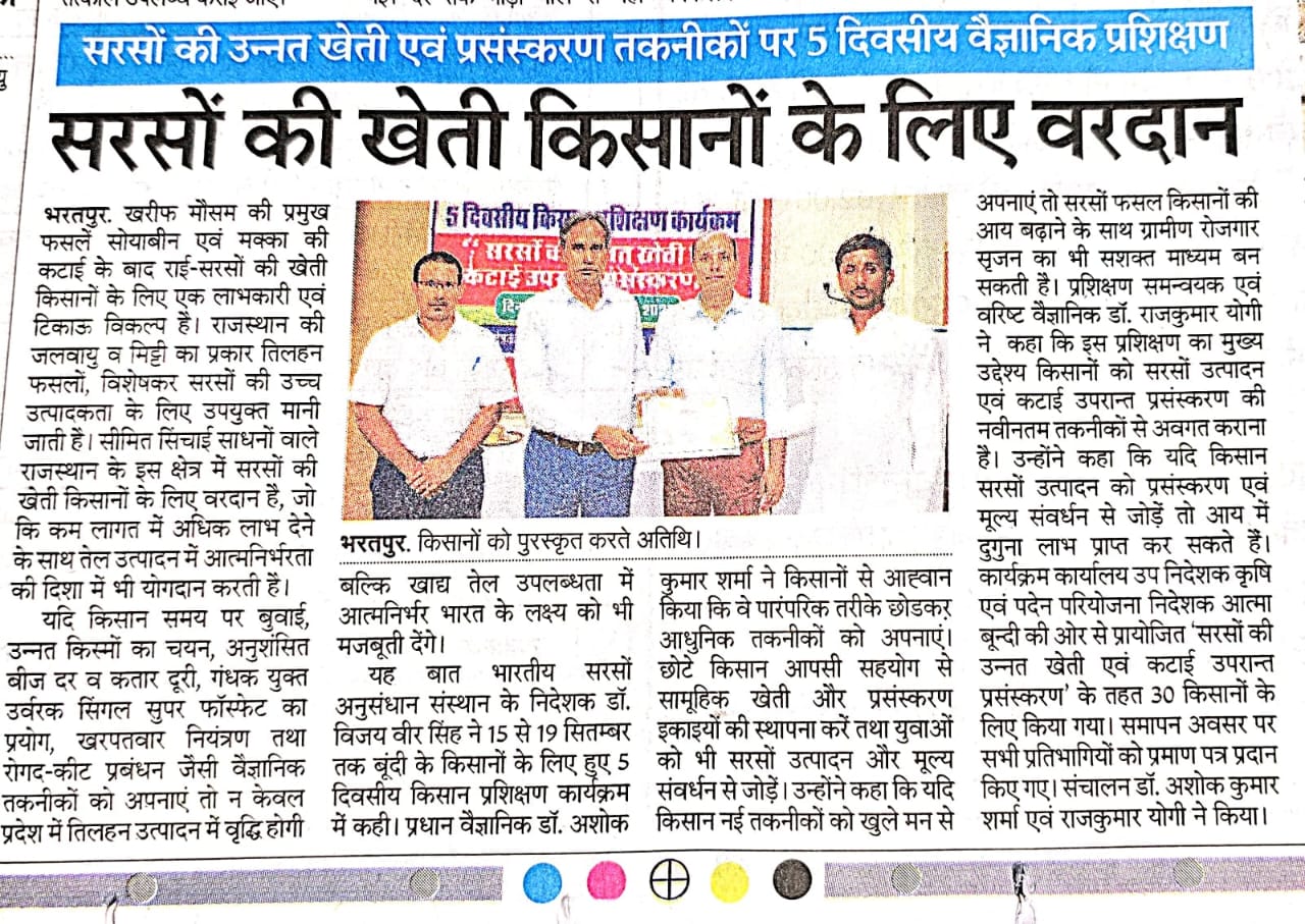 सरसों की खेती किसानों के लिए वरदान