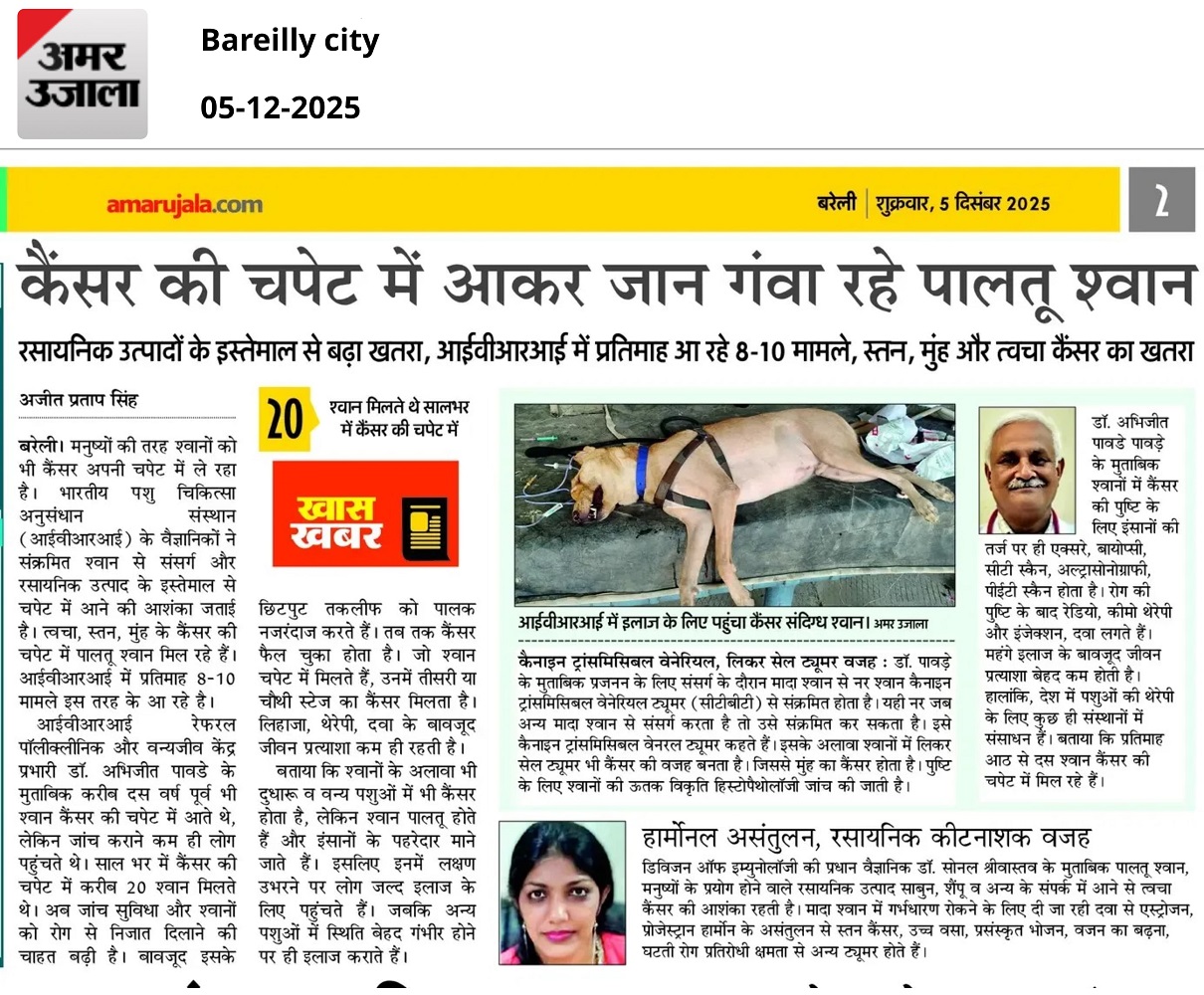 कैंसर की चपेट में आकर जान गंवा रहे पालतू श्वान