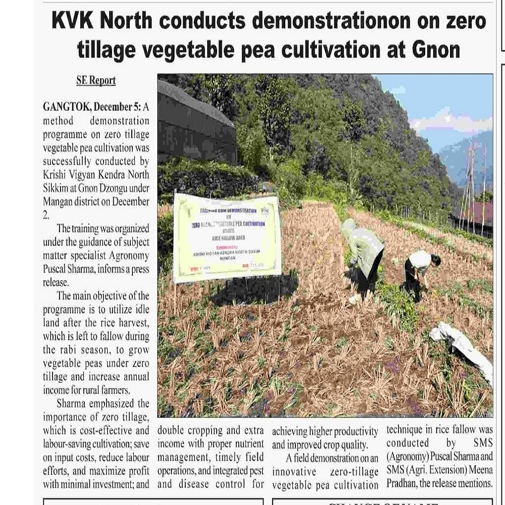 KVK North conducts demonstrationon on zero tillage vegetable pea cultivation at Gnon