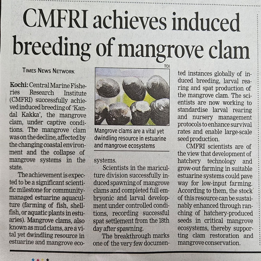 CMFRI achieves induced breeding of mangrove clam