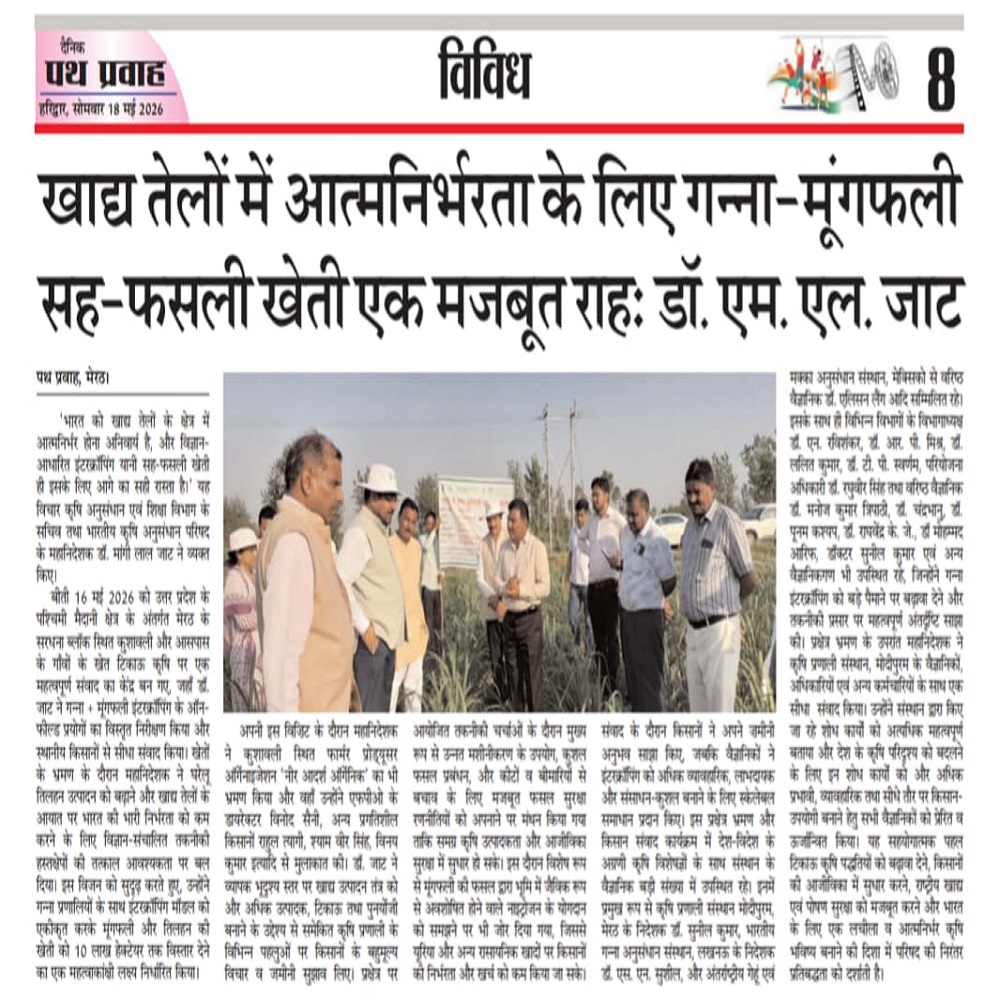 खाद्य तेलों में आत्मनिर्भरता के लिए गन्ना-मूंगफली सह-फसली खेती एक मजबूत राहः डॉ. एम. एल. जाट