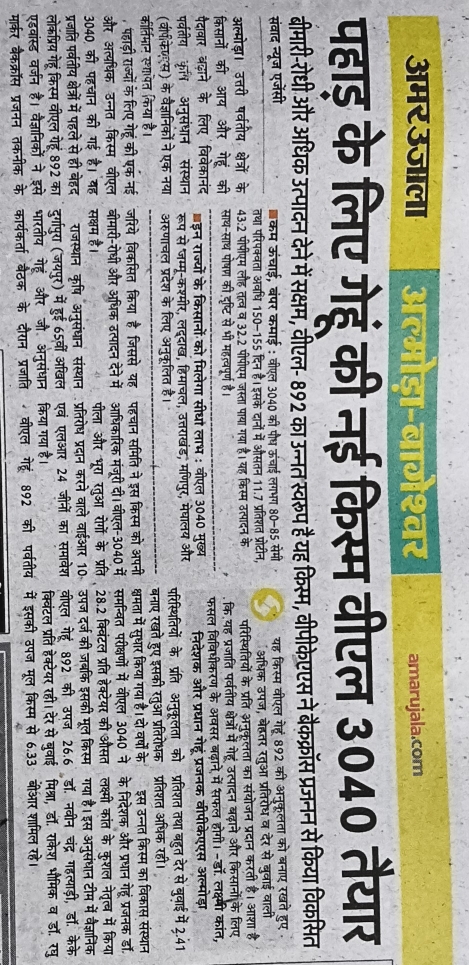 पहाड़ के लिए गेहूं की नई किस्म वीएल 3040 तैयार