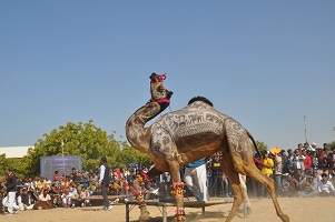 उष्ट्र-करतब-03