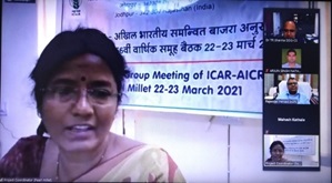 Search formSearch search this site “56th Annual Group Meeting on Pearl Millet” organized