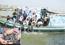 ICAR-CIFRI celebrates 75th Foundation Day