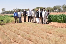 Kisan Gosthi on “Scientific Production Technologies in Rabi Crops”