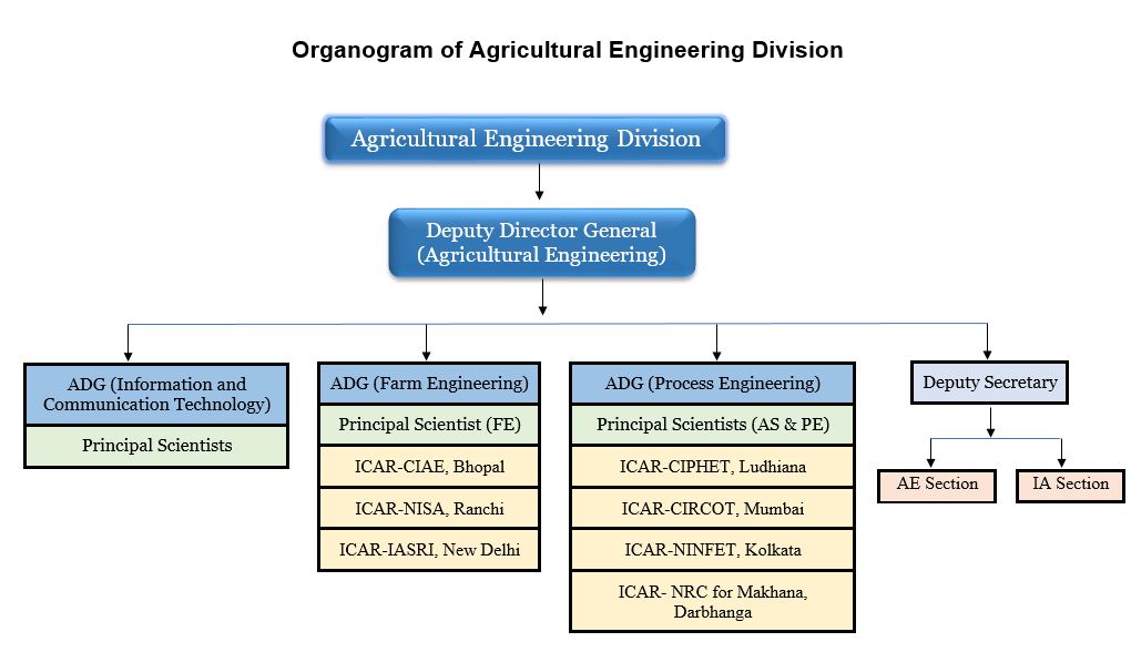 AE-ORG