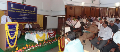 AINROOP-annual-meeting-2015