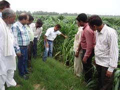 ANIMAL-FEEDING-02-02122019