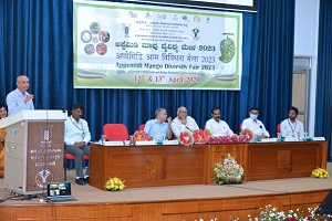 Appemidi-Mango-Diversity-Fair-2023-02