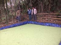 BackyardpoultryVanaraja)production-06