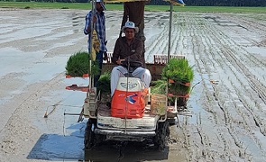  Bridging Rice Yield Gaps through Machine Transplanting of Rice (MTR) 02_0.jpg