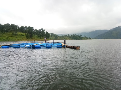 CIFRI_GI_Cages_in_Umiam_reservoir