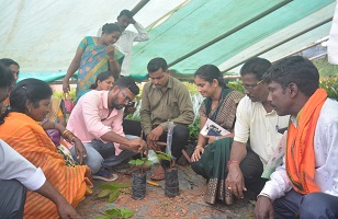 Cashew-ICAR-DCR-02_1