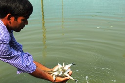 Climate-resilient Wetland Fisheries Programme organized