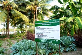 CoconutBasedFarmingsystem-01