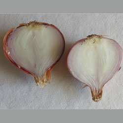 DOGR-cold-storage-ss-2