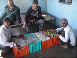 Enhanced-04-10032015