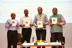 Enhancing-Resilience-02