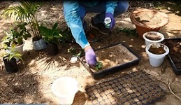 Entrepreneurial-Training-on-Horticultural-Nursery-Organized-03