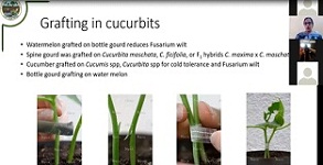 Entrepreneurial-Training-on-Horticultural-Nursery-Organized-04