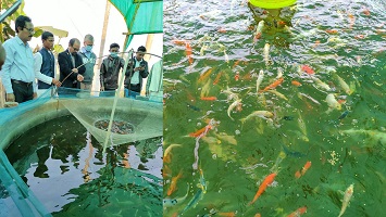 Event-Photo-02-08022021