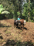 Fieldpreparation-032018