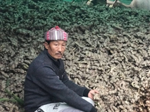 Gingerreadyformarketing-042018