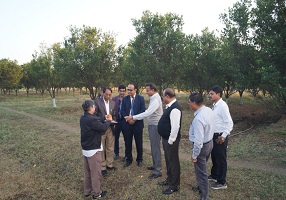 Government-Maharashtra-ICAR-CCRI-Nagpur-02