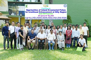 Hill-Farmers-Ornamental-fish-farming-CIFRI-03.jpg