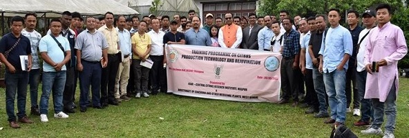 ICAR-CCRI-Darjeeling-district-West-Bengal-02