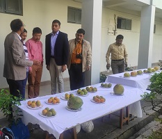 ICAR-Central-Citrus-Research-Institute-02