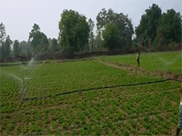 ICAR-IIWM-SS-02-12-2016-3