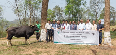 ICAR-Mithun-Nagaland-inaugurated-03_1.jpg 