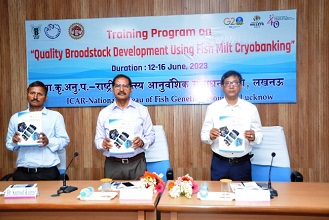 ICAR-NBFGR-Quality-broodstock-development-using-fish-milt-cryobanking-01