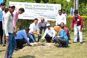 ICAR-NBFGR-World-Environment-Day-01.jpg 