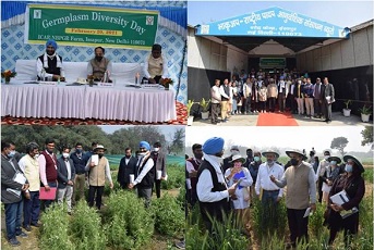 ICAR-NBPGR organizes Germplasm Diversity Day - 2021 