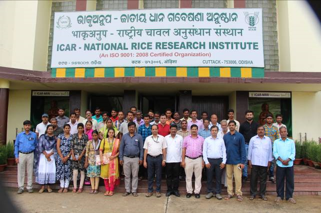 ICAR-National-Rice-Research-Institute-01