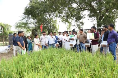 ICAR–IIRR Hosts Industry Interaction Meet 2025