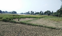 IIWM-ss-09-01-2020-2